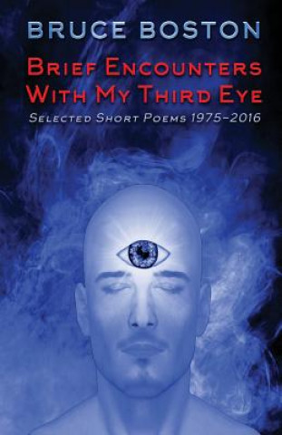 Könyv Brief Encounters with My Third Eye BRUCE BOSTON