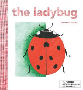 Carte Ladybird Bernadette Gervais