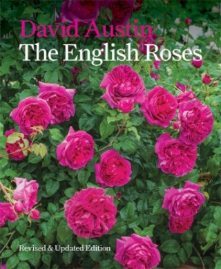 Carte English Roses David Austin