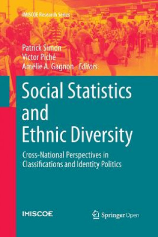 Kniha Social Statistics and Ethnic Diversity PATRICK SIMON