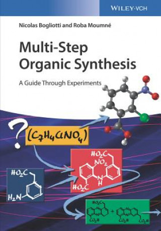 Kniha Multi-Step Organic Synthesis - A Guide Through Experiments Nicolas Bogliotti