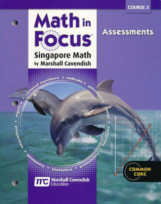 Kniha MATH IN FOCUS SINGAPORE MATH Great Source