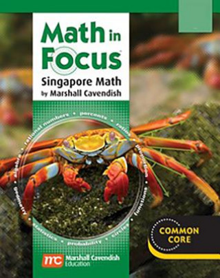 Książka MATH IN FOCUS SINGAPORE MATH Great Source