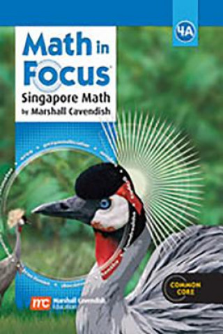 Kniha Math in Focus Grade 4 Kit Houghton Mifflin Harcourt