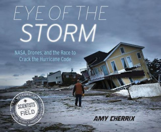 Kniha Eye of the Storm Amy Cherrix