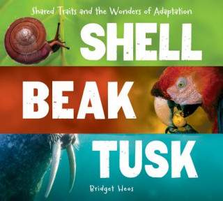 Könyv Shell, Beak, Tusk Bridget Heos