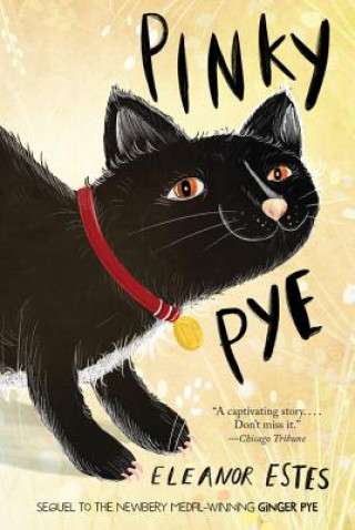 Boek Pink Pye Eleanor Estes