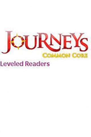 Книга HOUGHTON MIFFLIN READING LEVEL Houghton Mifflin Company