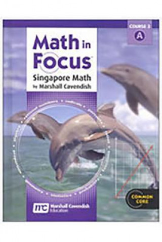 Kniha MATH IN FOCUS SINGAPORE MATH Houghton Mifflin Harcourt