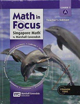 Kniha MATH IN FOCUS SINGAPORE MATH Holt McDougal