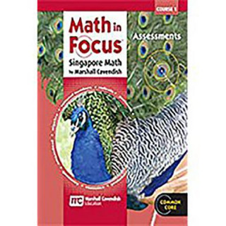 Kniha MATH IN FOCUS COURSE 1 GRD 6 Assessments