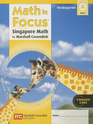 Książka MATH IN FOCUS SINGAPORE MATH Great Source