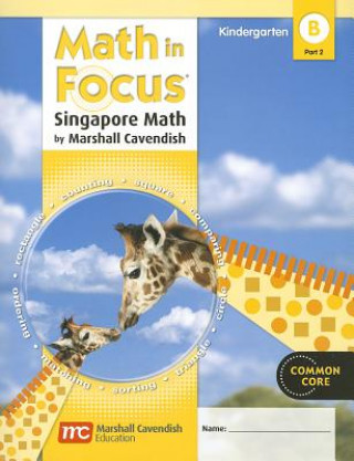 Kniha MATH IN FOCUS SINGAPORE MATH Great Source