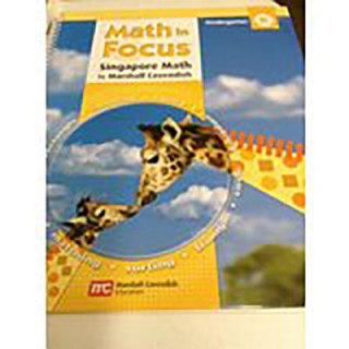 Knjiga MATH IN FOCUS SINGAPORE MATH Great Source