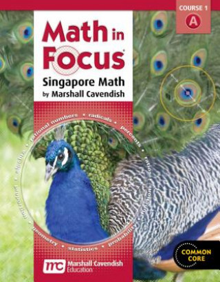 Kniha Math in Focus Course 1a Grd 6 Houghton Mifflin Harcourt