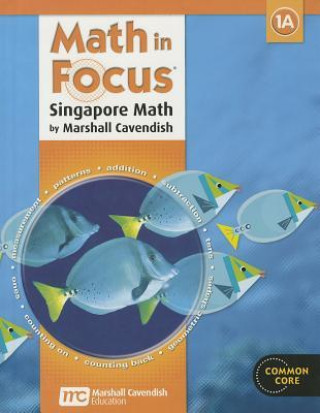 Buch MATH IN FOCUS SINGAPORE MATH Great Source