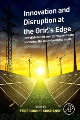 Kniha Innovation and Disruption at the Grid's Edge Fereidoon Sioshansi