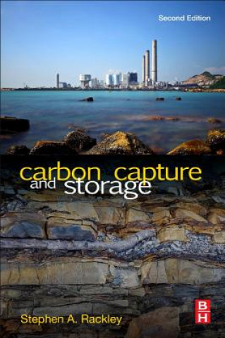 Buch Carbon Capture and Storage Steve Rackley