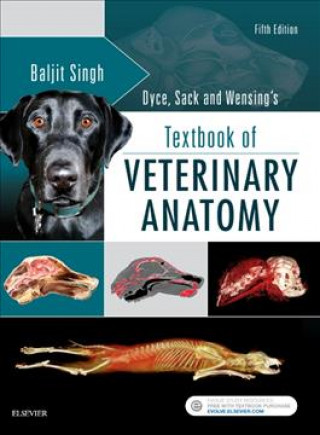 Książka Dyce, Sack, and Wensing's Textbook of Veterinary Anatomy Keith M. Dyce
