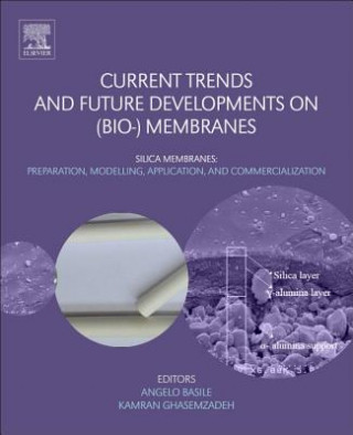 Kniha Current Trends and Future Developments on (Bio-) Membranes Angelo Basile
