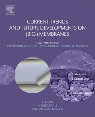 Книга Current Trends and Future Developments on (Bio-) Membranes Angelo Basile