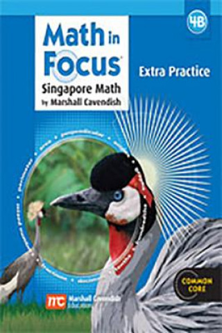 Kniha MATH IN FOCUS SINGAPORE MATH Marshall Cavendish