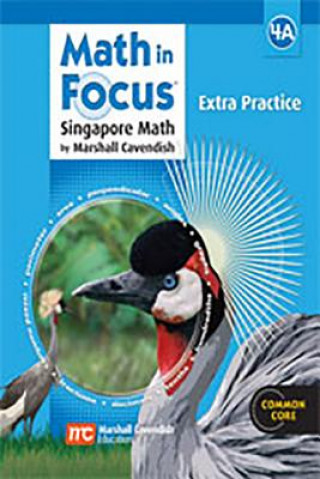 Kniha MATH IN FOCUS SINGAPORE MATH Marshall Cavendish