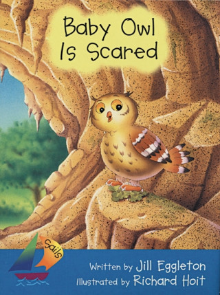 Carte BABY OWL IS SCARED Jill Eggleton