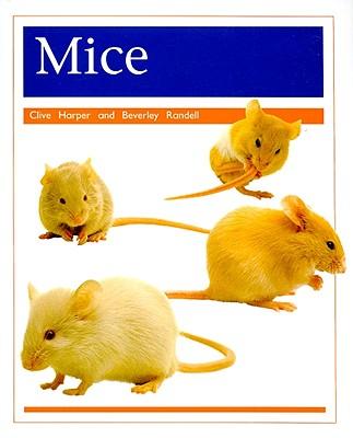 Книга MICE GRADE 1 Clive Harper
