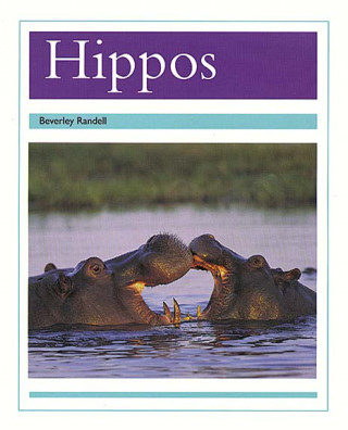 Boek HIPPOS Beverley Randell