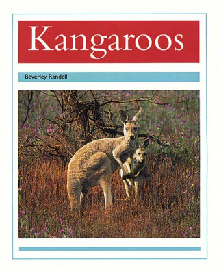 Book KANGAROOS Beverley Randell