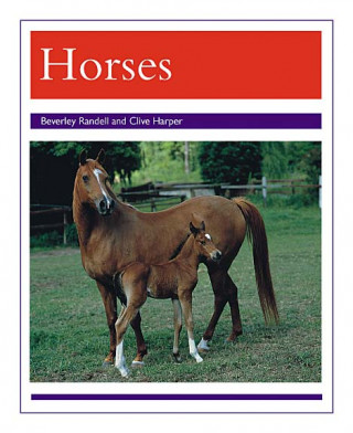 Βιβλίο HORSES Beverley Randell