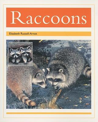 Książka RACOONS Elizabeth Russell-Arnot