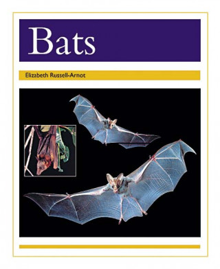 Książka BATS Elizabeth Russell-Arnot