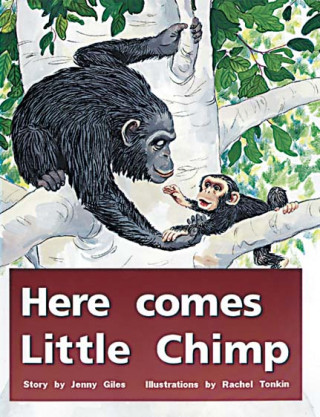 Knjiga HERE COMES LITTLE CHIMP Various