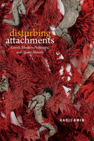Könyv Disturbing Attachments Kadji Amin