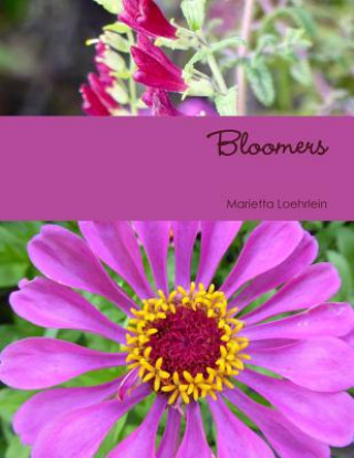 Knjiga Bloomers Marietta Loehrlein