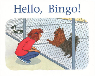 Knjiga HELLO BINGO Rigby