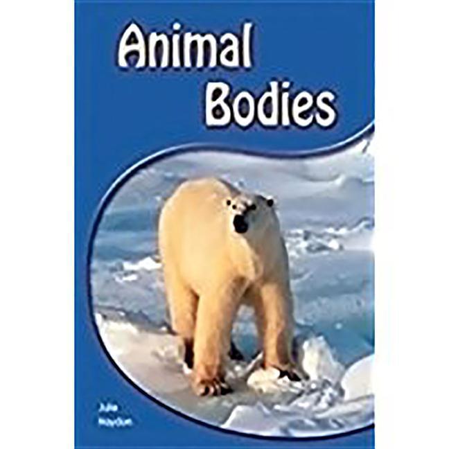 Carte ANIMAL BODIES W/BKLT 6PK Julie Haydon