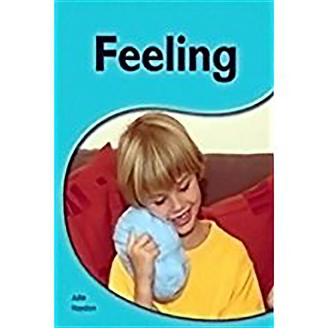 Kniha FEELING W/TG-6PK Julie Haydon