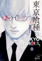 Könyv Tokyo Ghoul, Vol. 13 Sui Ishida
