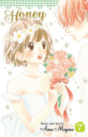 Kniha Honey So Sweet, Vol. 7 Amu Meguro