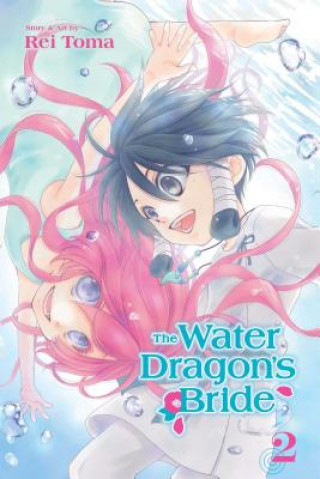 Könyv Water Dragon's Bride, Vol. 2 Rei Toma