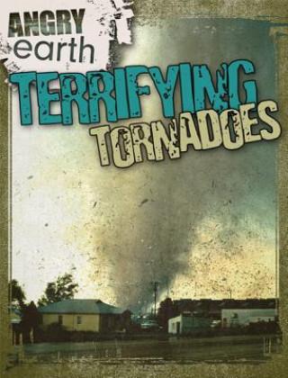 Knjiga Terrifying Tornadoes Kristen Rajczak