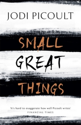 Kniha Small Great Things Jodi Picoultová