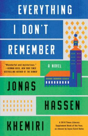 Kniha Everything I Don't Remember Jonas Hassen Khemiri