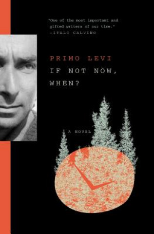 Kniha If Not Now, When? Primo Levi