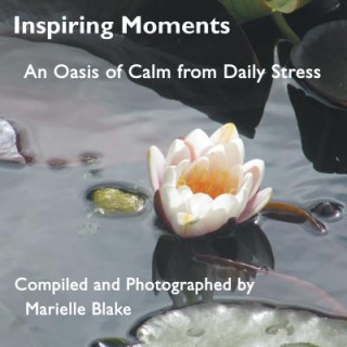 Könyv INSPIRING MOMENTS Marielle Blake