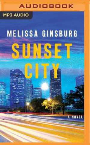 Digital SUNSET CITY                  M Melissa Ginsburg