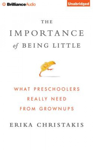Audio IMPORTANCE OF BEING LITTLE 10D Erika Christakis